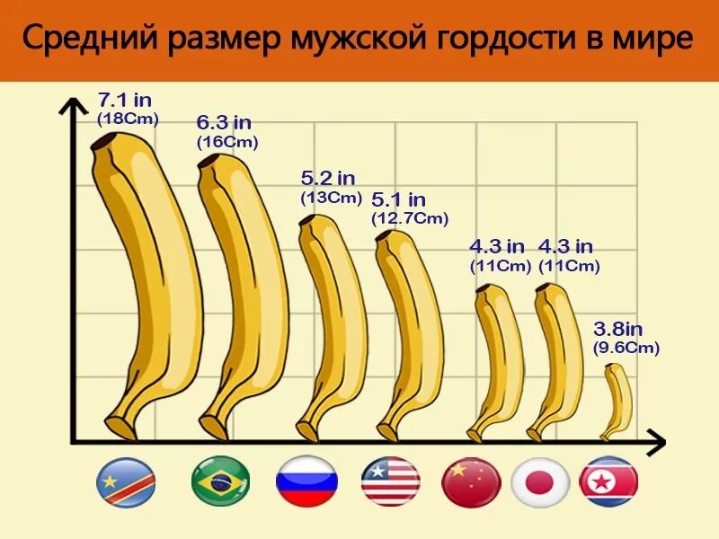 Размеры мужского пола. Среднестатистический размер члена. средний размер члена у мужчин. среднестатистический размер мужского полового органа. размер мужского органа по возрасту.