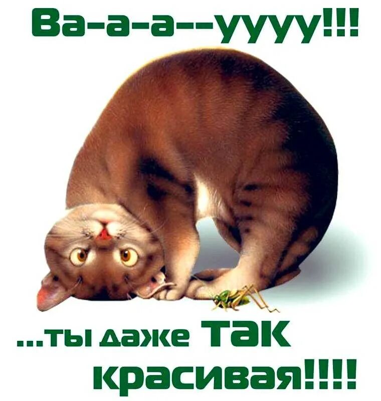 Красивые комплименты. Комплименты девушке. Прикольные открытки для девушки. Открытки для любимой девушки прикольные. Открытки для девушки которая Нравится.