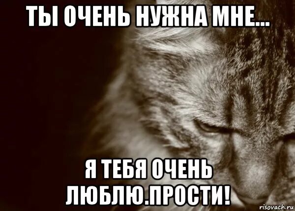 Извини но мне нравится твой. Ты мне очень нужен. прости меня я люблю тебя. прости я тебяоченьлюблб. прости меня я тебя очень люблю.