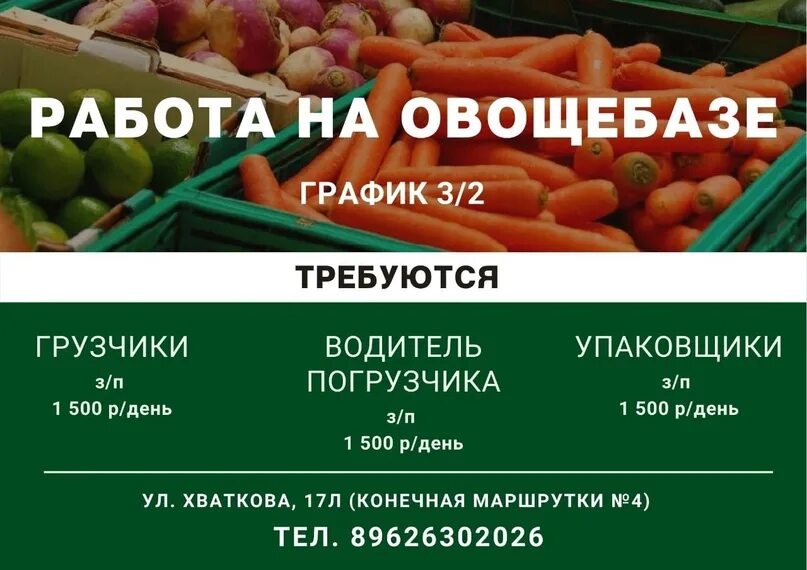 Овощные базы. Овощная база. Овощебаза работа. Овощная база СССР. Москва работа овощ