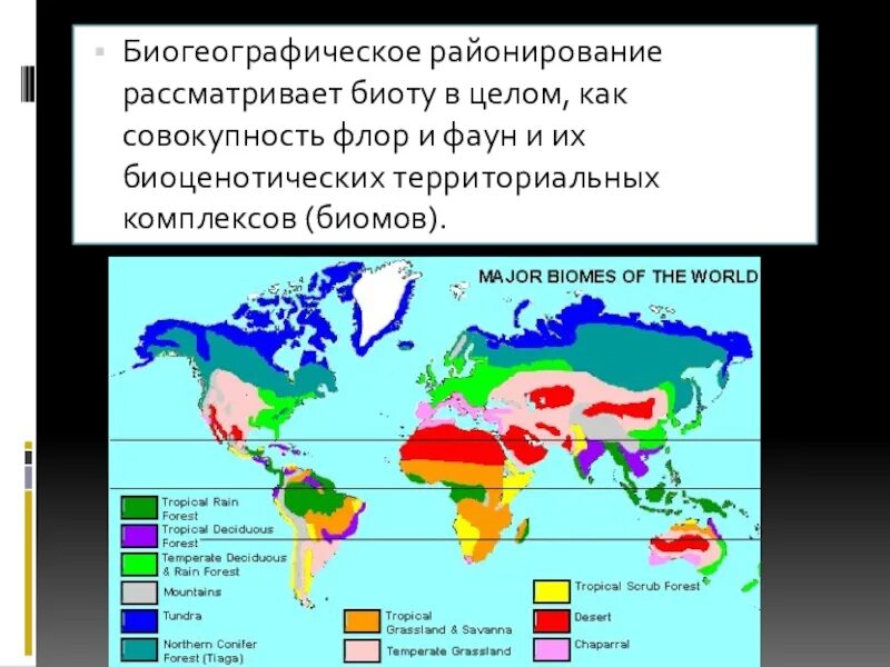 Биомы суши. Биогеографическое районирование суши. Биоценотическое районирование. Флористическое районирование. Биогеографические регионы.