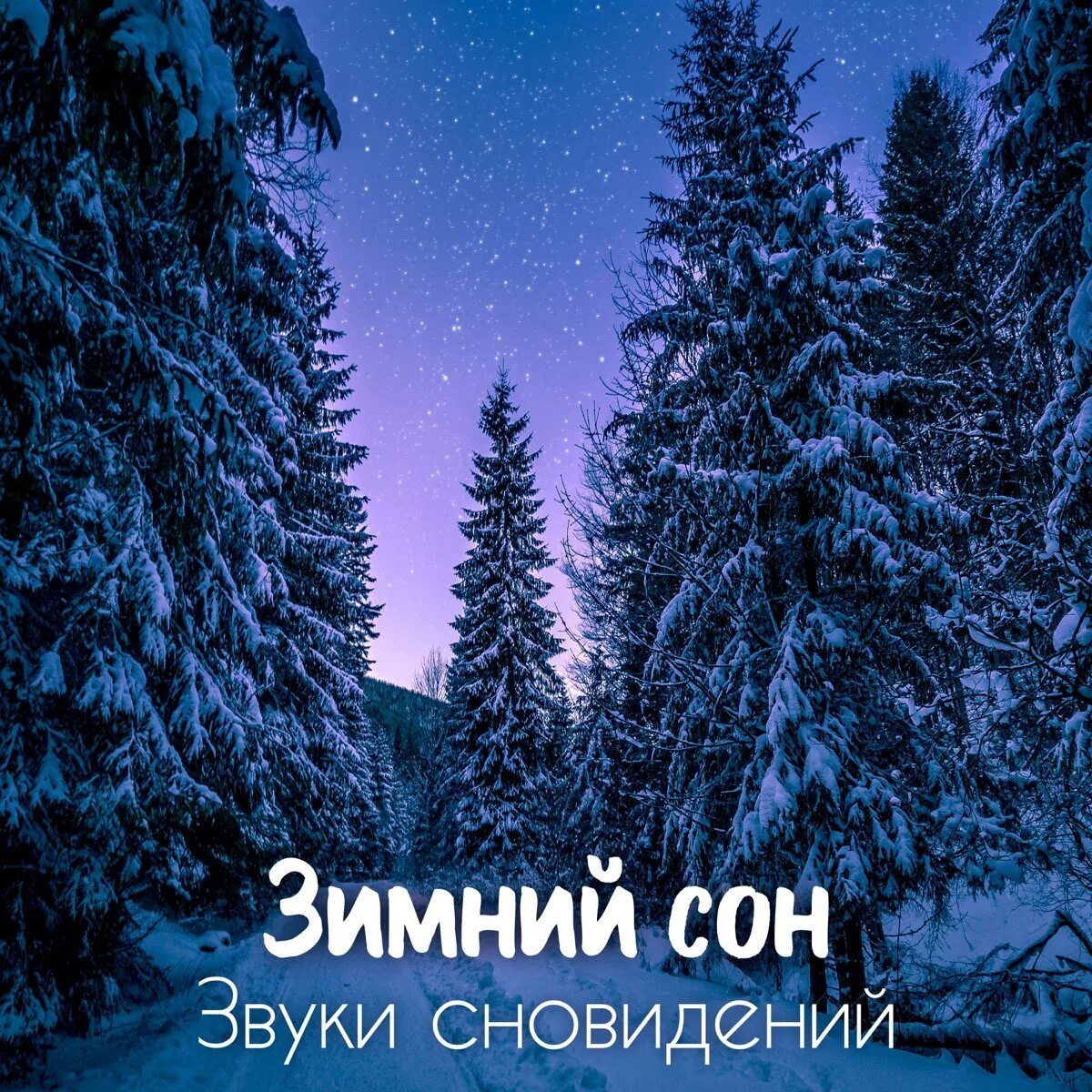 Включи звуки спящего. Зимний сон. Звуки ночи. Зимних снов картинки. Зимний сон картинки красивые.