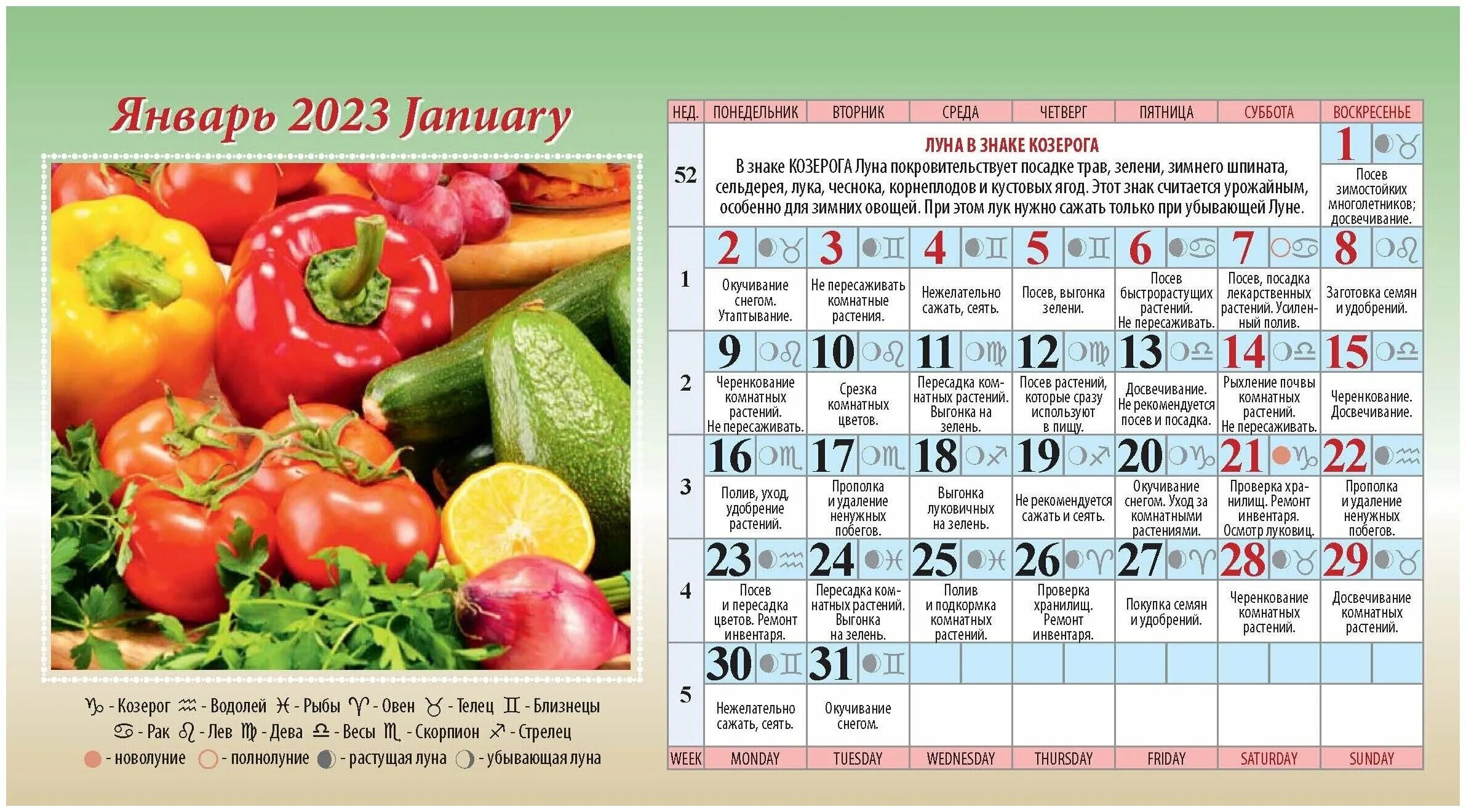 лунный календарь на 2023 год. посадка перца на рассаду в 2023 году по лунному календарю. лунный календарь светофор. лунный календарь. календарь огородный светофор.