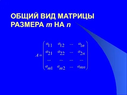 Матрица матрица размера nxm