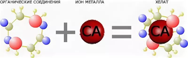 внутрикомплексные соединения хелаты. хелатные и внутрикомплексные соединения. глюконат железа препараты. хелаты лучше усваиваются. хелатная форма.