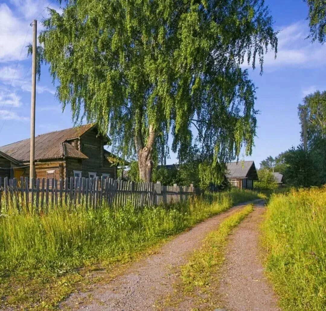 Деревня. Деревня летом. Красивая деревня. Русская деревня. Деревенька моя старая до земли поклонюсь