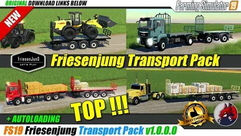 Friesenjung speed up