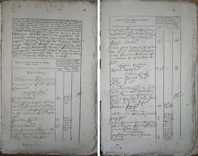 Первая перепись ревизия 1719 года охватывала