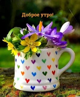 Пин утро
