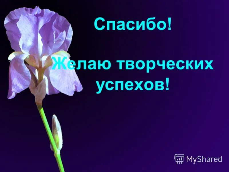 пожелание творческих успехов и побед. творческих успехов и новых свершений. пожелание творческих успехов. слайд творческих успехов. вдохновения вам и творческих успехов.