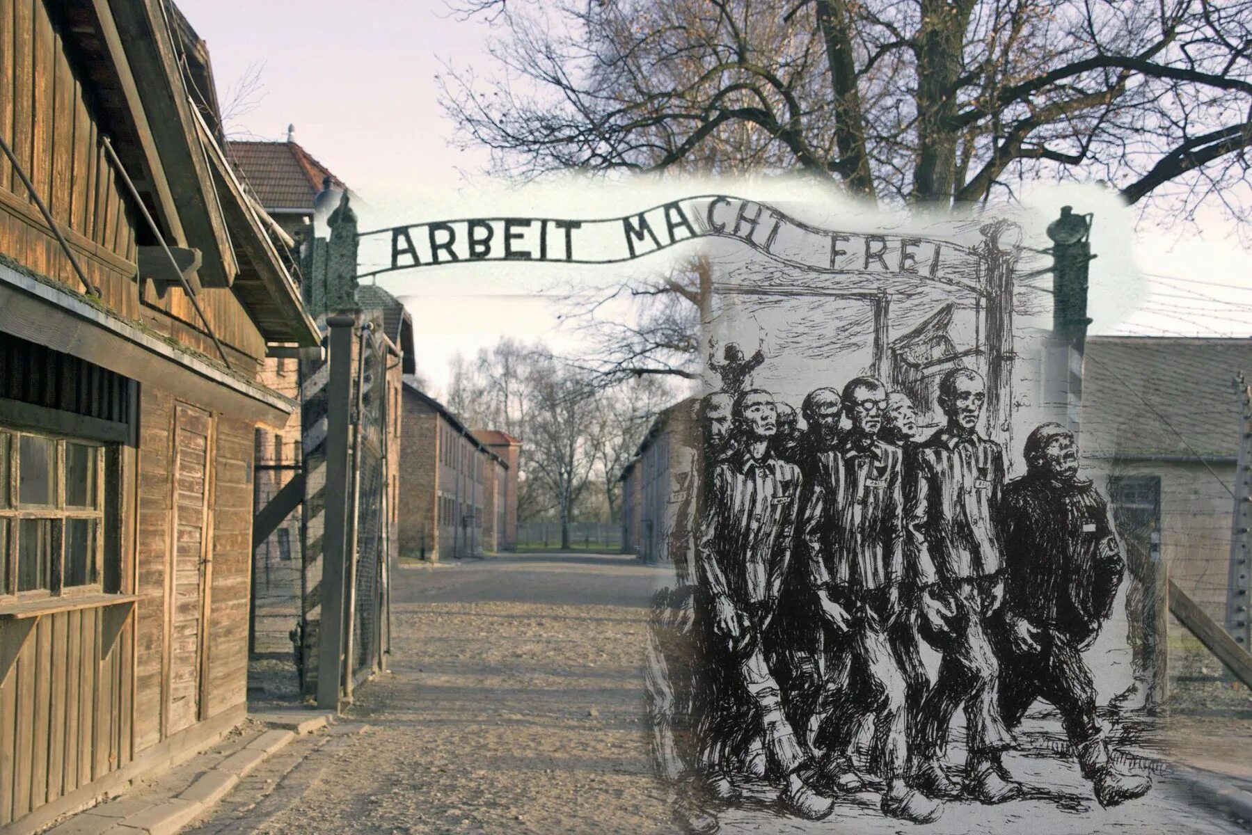 экскурсия по холокосту. музей аушвиц/освенцим в польше. лагерь смерти освенцим крематорий. экскурсия по холокосту. экскурсия по холокосту.