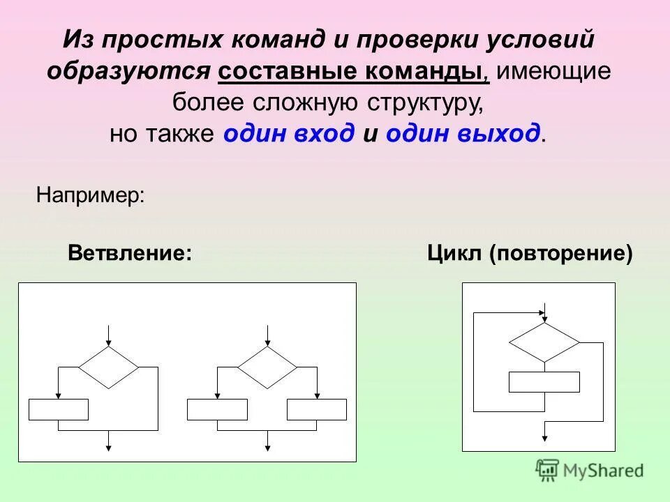 Алгоритмическая структура ветвление 7 класс презентация. Цикл с ветвлением. Базовые алгоритмические структуры следование ветвление цикл. Ветвление и циклы в информатике. Циклы и ветвления в алгоритмах.