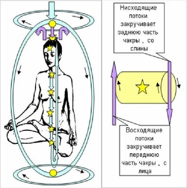 Восходящий и нисходящий потоки энергии в теле. Энергетические потоки в теле человека схема. Центральные энергетические каналы восходящий и нисходящий. Циркуляция энергии в теле человека. Обратное направление энергии