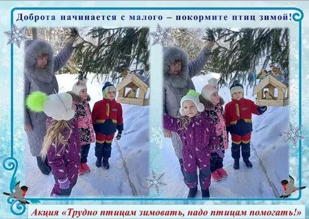 Трудно птицам зимой