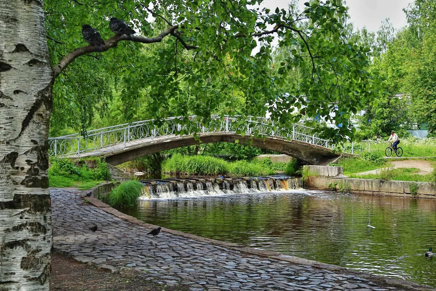 Парк запруды. Петрозаводск Неглинка парк. Река Неглинка Петрозаводск. Берег реки Неглинка Петрозаводск. Губернаторский парк Петрозаводск.