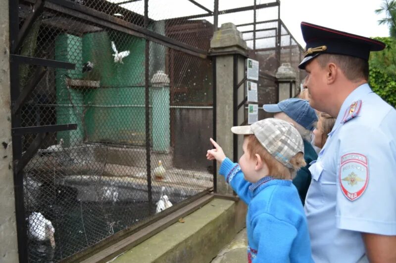 Полиция в зоопарке. Экскурсия в зоопарк для детей. Полицейский зверинец. Ялта зоопарк полиция. Посещение зоопарка средняя группа