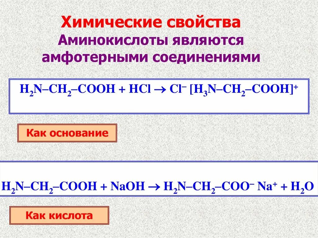 Общие химические свойства аминоуксусной кислоты. Химические свойства аминокислот. Свойства аминокислот. Химические св ва аминокислот.