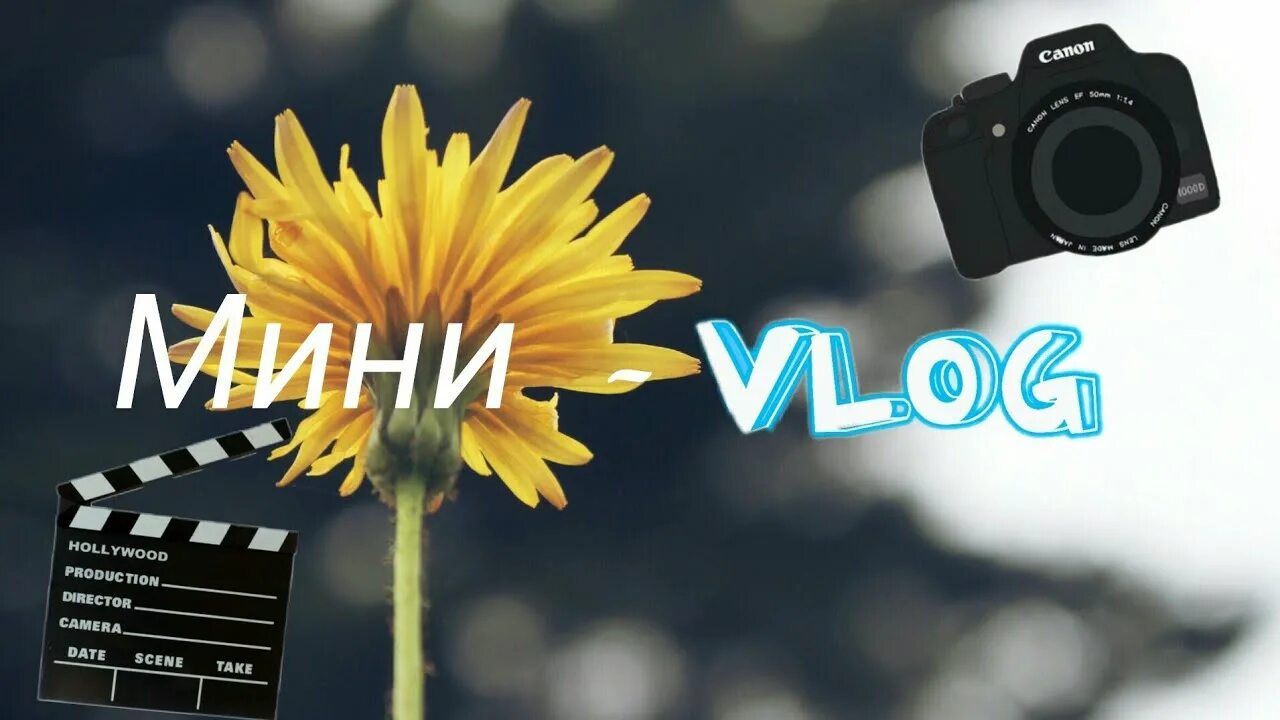 Мини влоги. Мини влог. картинка мини влог. короче мини влог. мини влог обои.