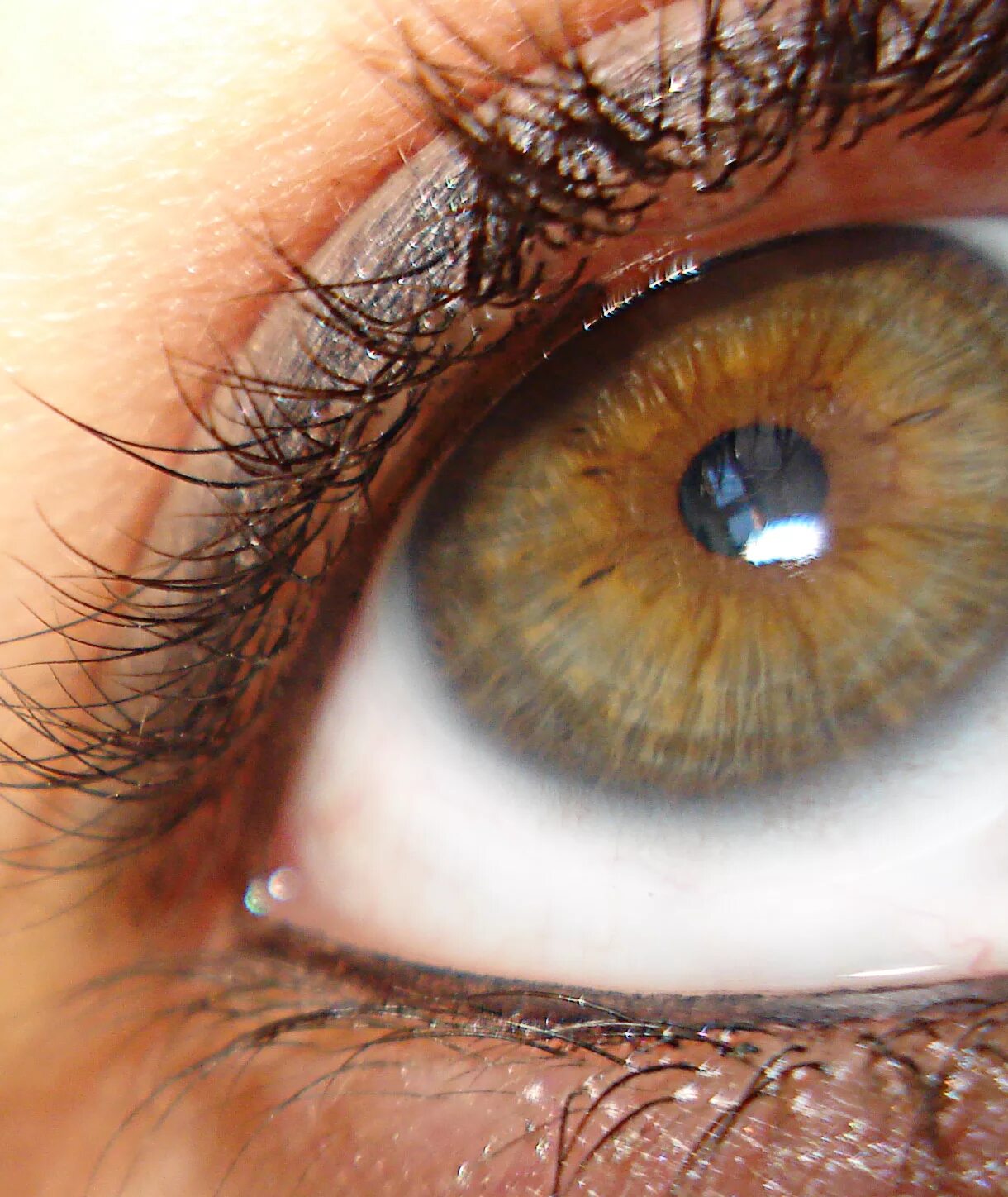 Болотный цвет глаз гетерохромия. Центральная гетерохромия хамелеон. Серо-каре-зеленые глаза. Ореховые глаза.