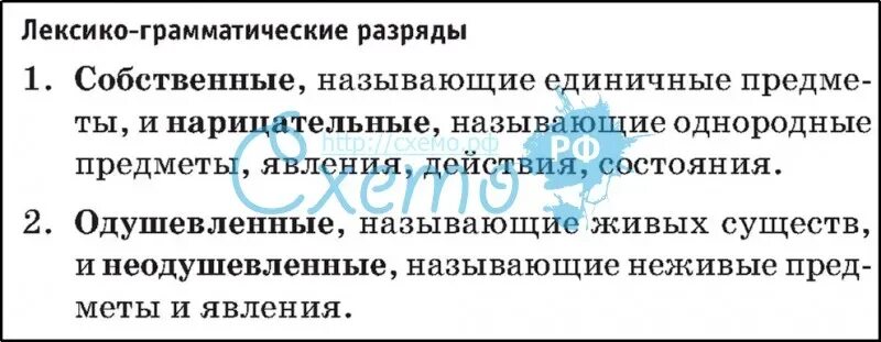 Лексико грамматическое значение существительного. Лексико грамматическое значение существительного