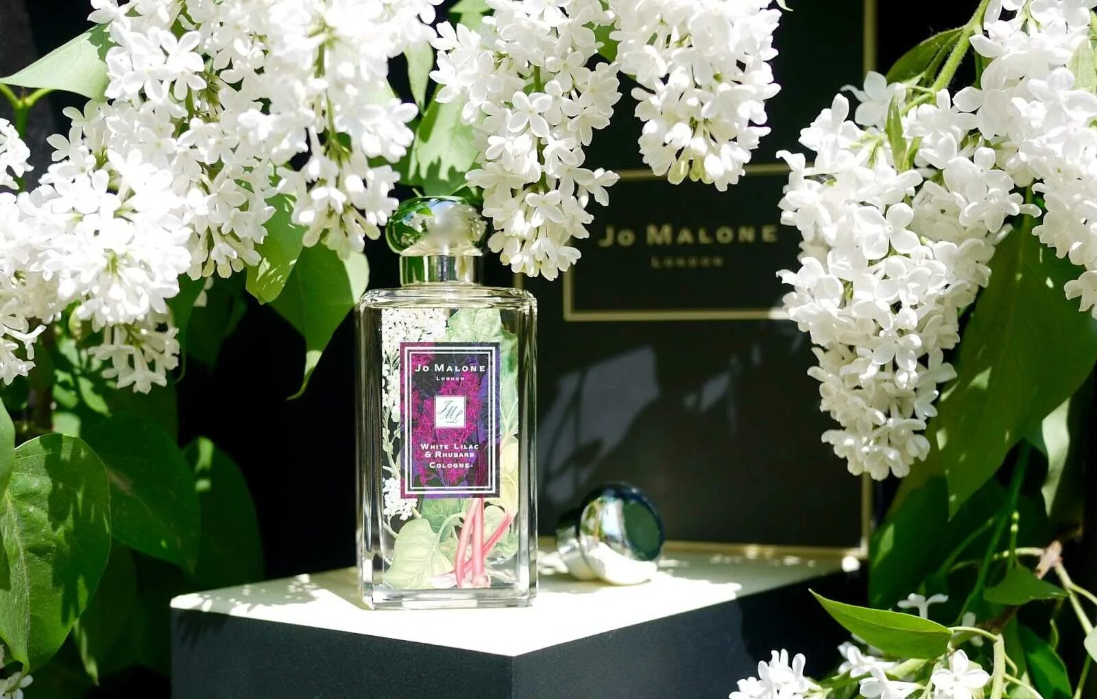 Сирень в духах. Джо Малон сирень. White Lilac & Rhubarb Jo Malone London. Джо Малон запах сирени. Джо Малон Блум Блум.