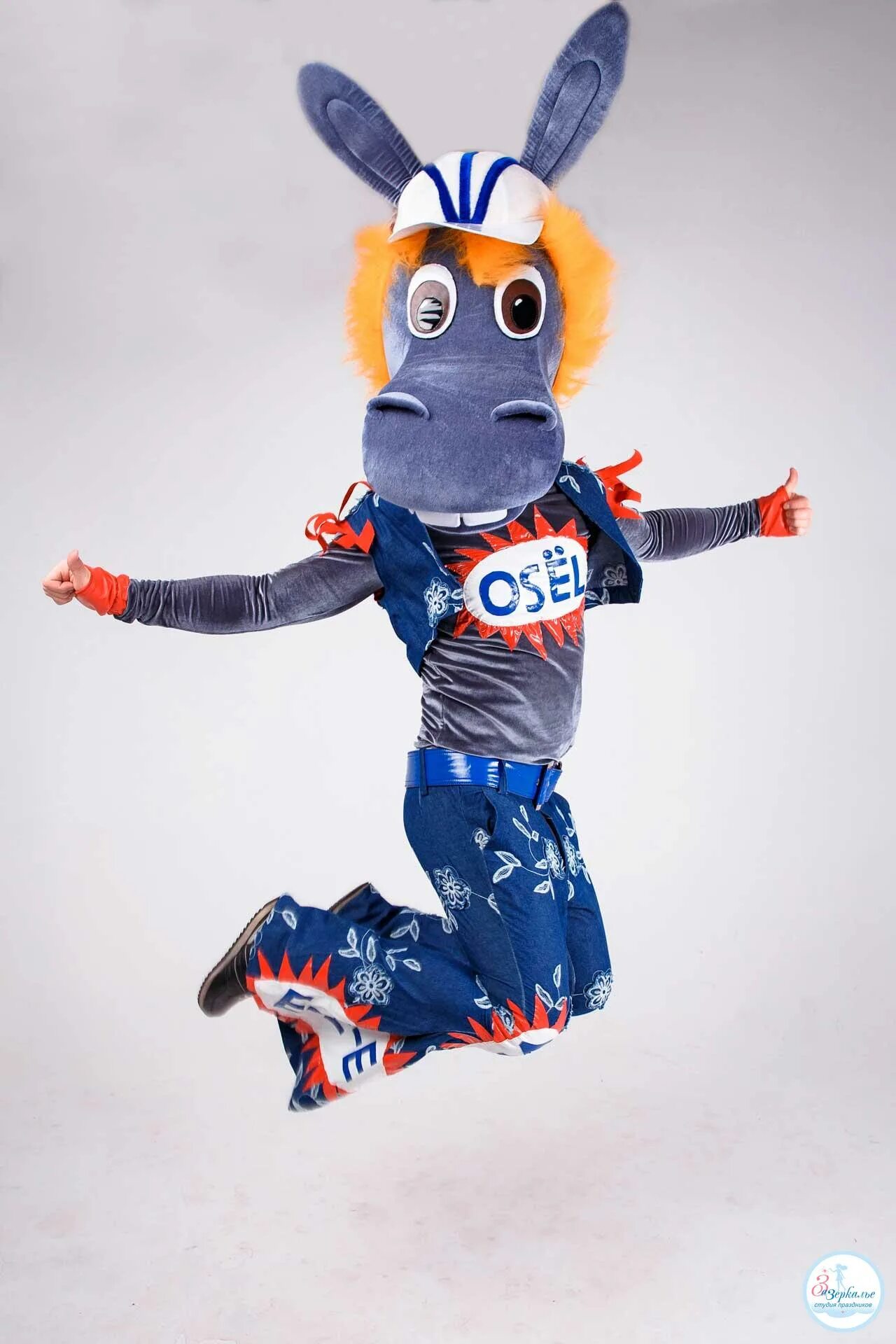 осел бременские музыканты костюм. осел бременские музыканты костюм.