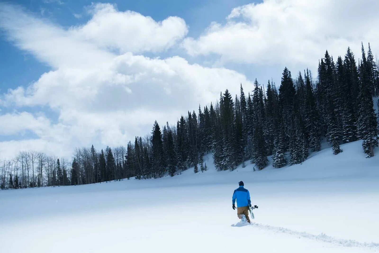6 below: miracle on the mountain, 2017. На глубине 6 футов фильм 2017 постер. На глубине 6 футов (blu-ray). Эрик лемарк выживание в горах. 6 below: miracle on the mountain, 2017.