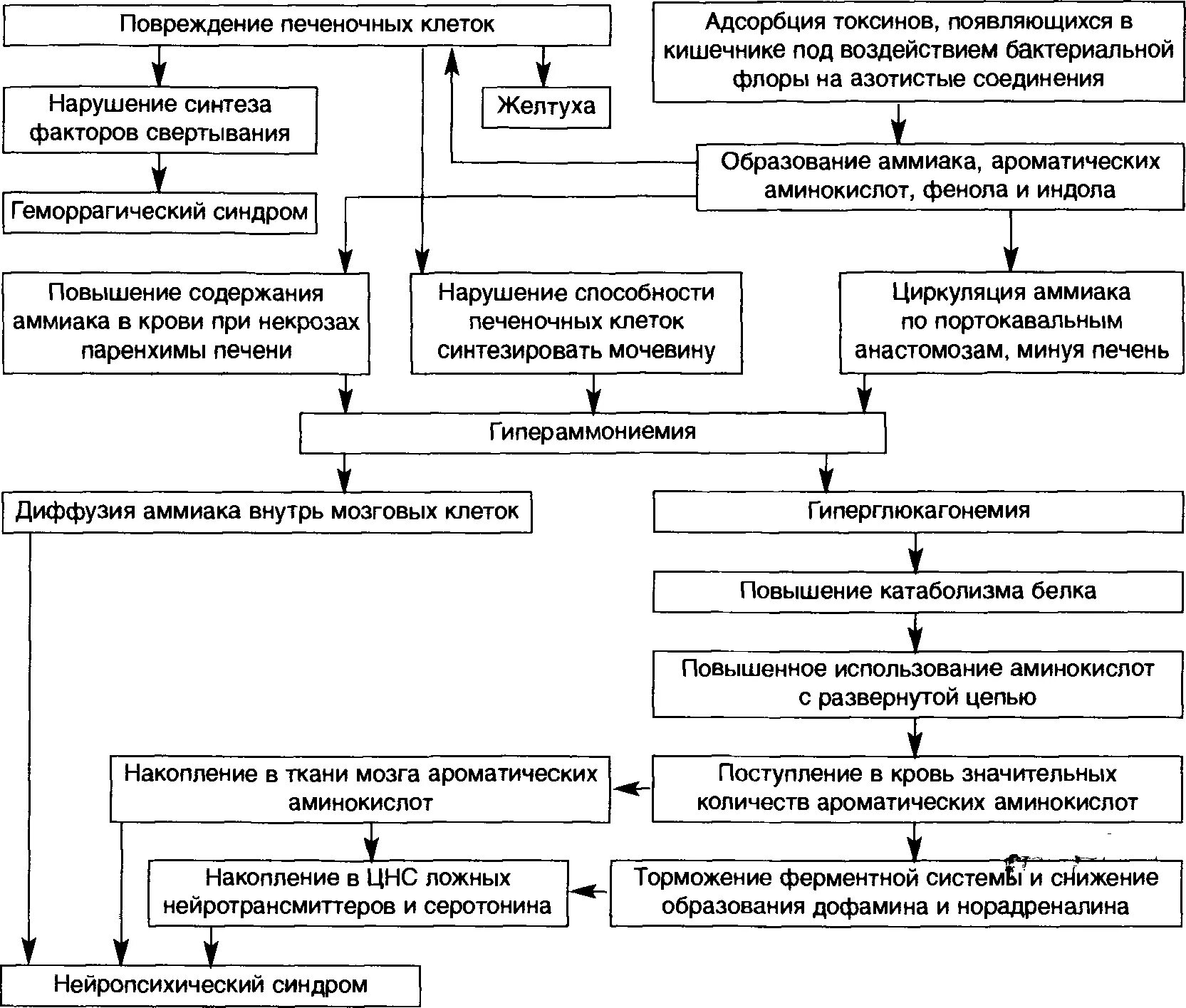 Повреждение клеток печени. Патогенез острой печеночной недостаточности схема. Острая печеночная недостаточность механизм развития. Патогенез острой печеночной недостаточности патофизиология. Синдром острой токсической печеночной недостаточности патогенез.