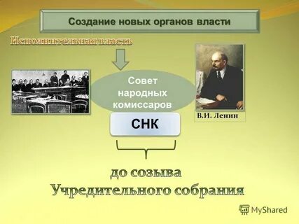 Создание какого нового органа