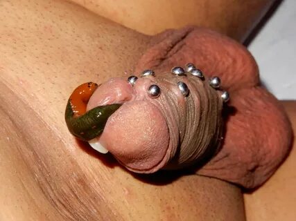 Slideshow leech inside cock.