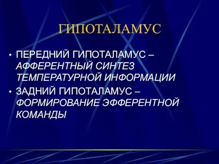 Гипоталамус обмен веществ