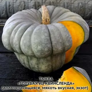 Тыква без кожуры