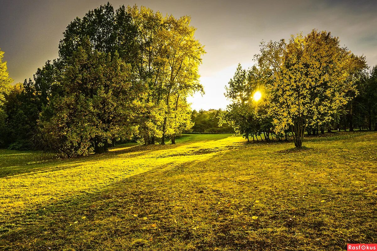 Yellow park. Желтая осень. Желтый парк. Парк осень бабье лето. Желтый парк.