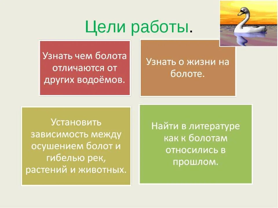 Чем отличается болото. Нужны ли болота. Для чего нужны болота в жизни человека и животных. Цель для проекта по болоту. Рассказ о болоте.