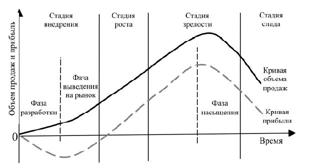 Основные этапы развития рынка. Стадии жизненного цикла рынка. стадия внедрения на рынок стадия роста стадия зрелости стадия спада. стадии рыночный жизненный цикл. стадия внедрения на рынок тип пользователя.