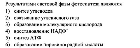 Проверочная работа по углеводам 10 класс биология