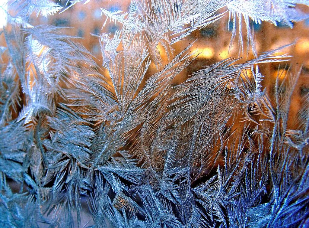 морозное окно. снежные узоры. деревья стояли стеклянные от мороза. ветки в снегу. морозные узоры.