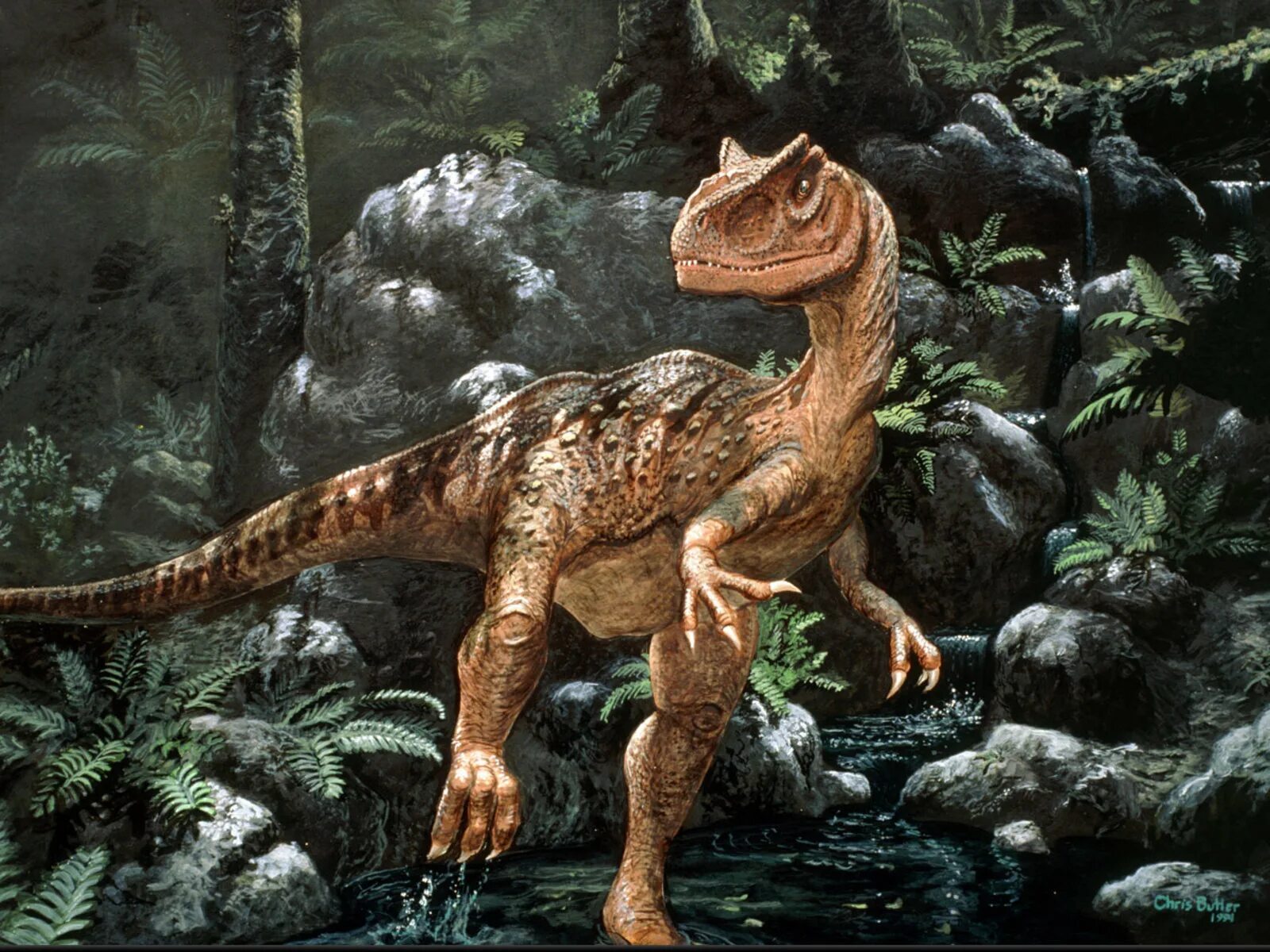 Диностер про динозавров. Аллозавр парк Юрского периода. Аллозавр фрагилис. Юрский период Аллозавр. Аллозавр динозавр.
