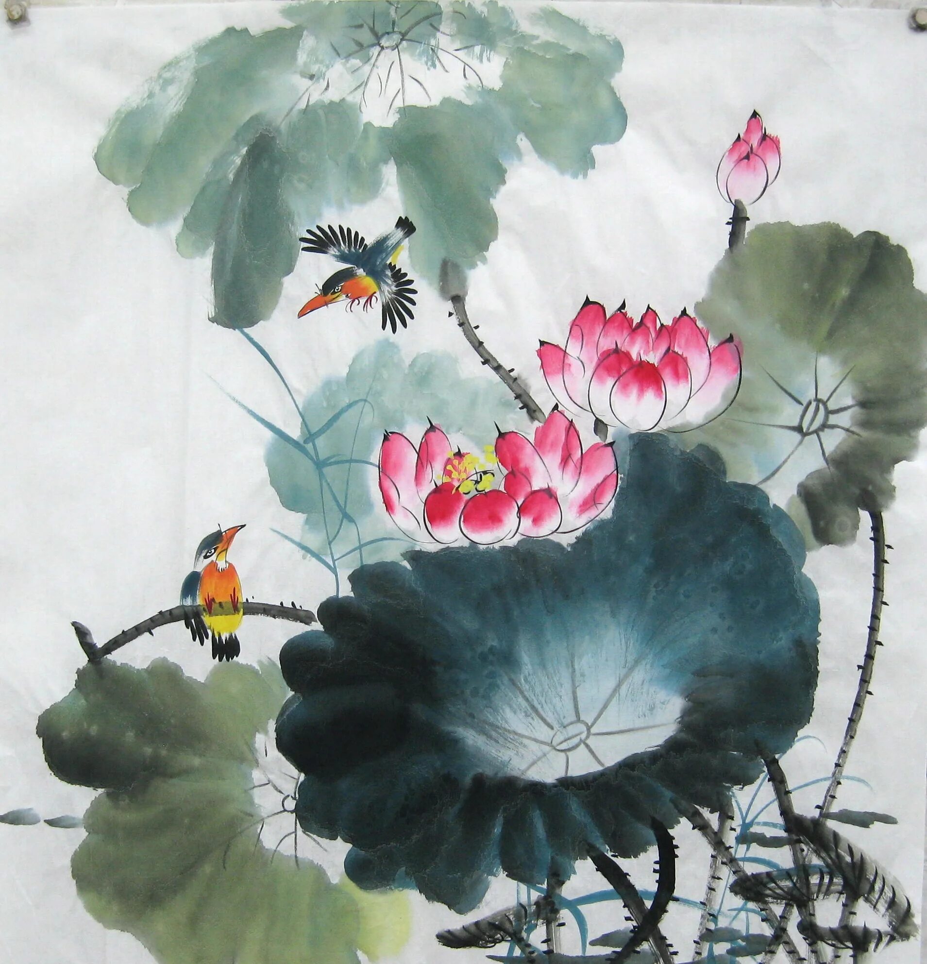 пионы гохуа. китайская живопись гохуа стиль сеи. китайская живопись гохуа лотос. китайская живопись гохуа. китайская национальная живопись «гохуа» древний китай.