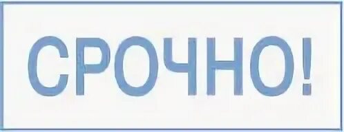 Да это срочно