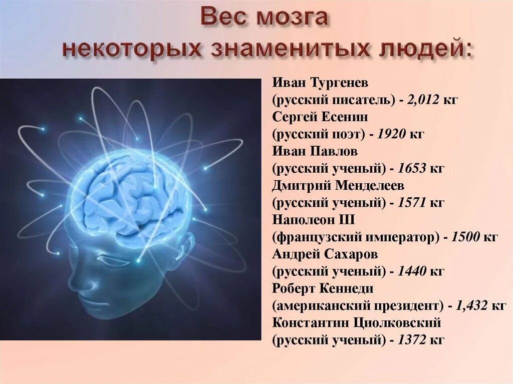 Вес мозга. Масса мозга известных людей. Масса человеческого мозга. Вес головного мозга у взрослого человека.