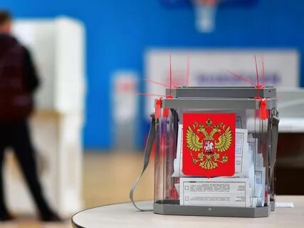 Выборы проходят каждые 6 лет