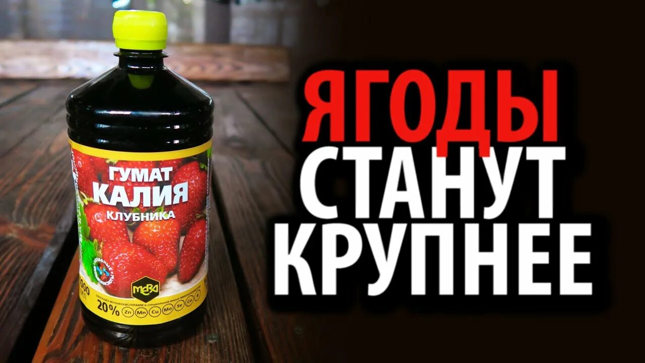 Полив гуматом калия клубники. Гумат калия универсальный 0. Удобрение гумат калия жидкий. Сульфат калия для клубники весной. Гумат калия 1 л биуд.