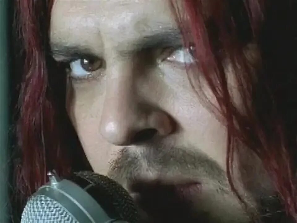 Seether remedy. Солист группы seether. seether вокалист. шон морган. шон морган с пирсингом в 00-х.