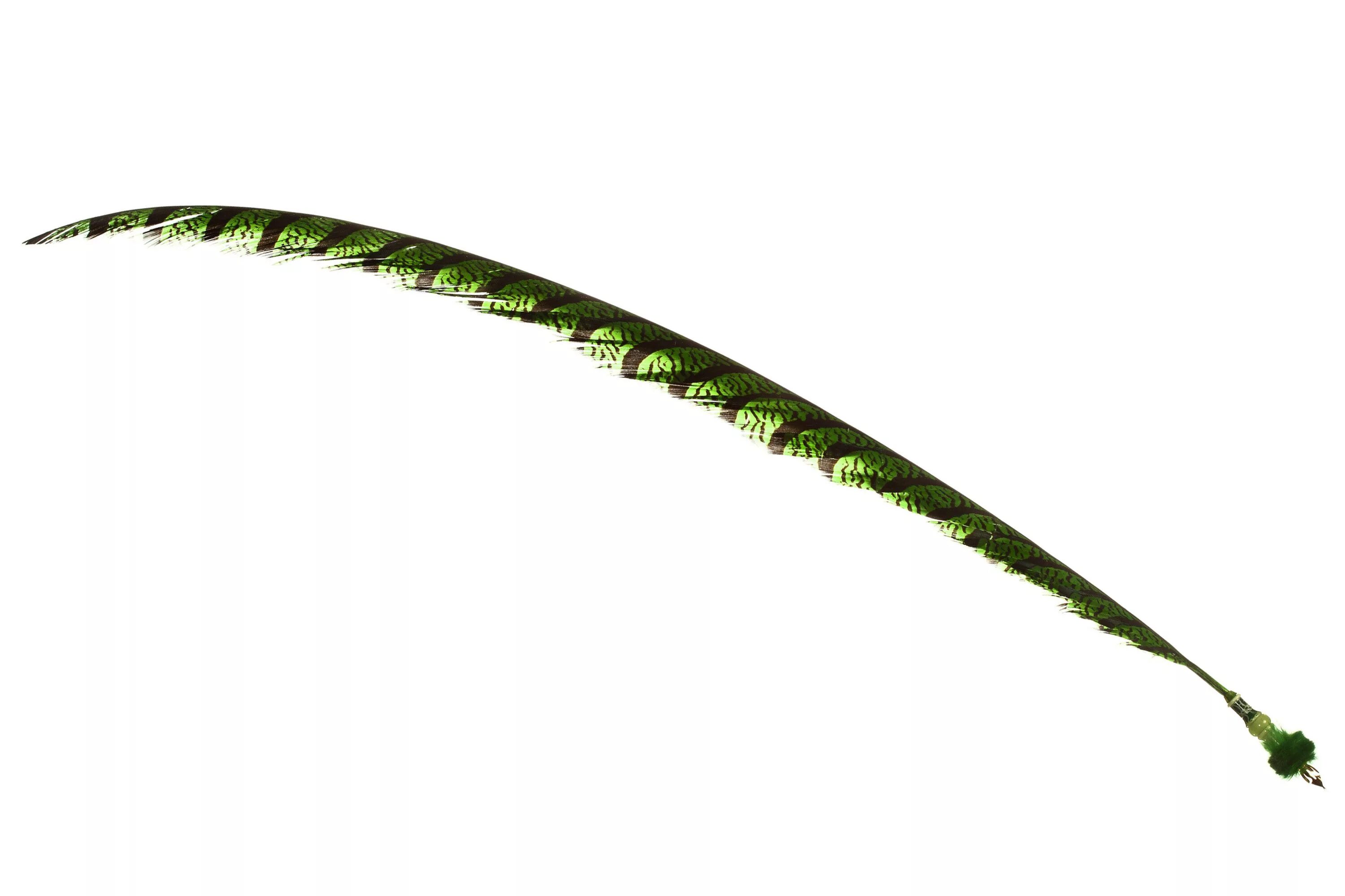 быстро пишущее перо. быстро пишущее перо. тиснение на коже перо. надписи перьевой ручкой. рука с пером и чернилами.