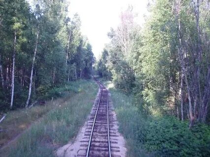 Музей тумского сказителя были небыли