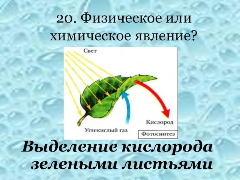 Горение явление. Газ это химическое или физическое явление. Физическое или химическое явление. К химическим явлениям относится. Сгорание природного газа.