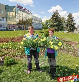 Зелен строй