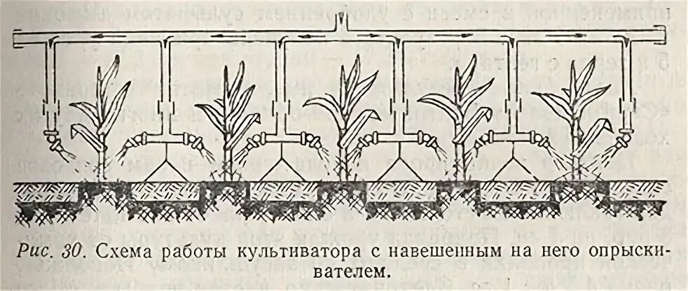 Как называется агротехнический прием