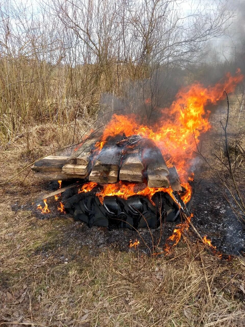 Сжигание биологических отходов. Инсинератор для биологических отходов. Трупосжигательная печь ветеринария. Полигоны для биологических отходов. Сжигание биологических отходов.